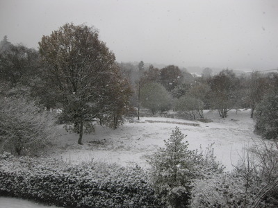 2010, First snow of the Winter