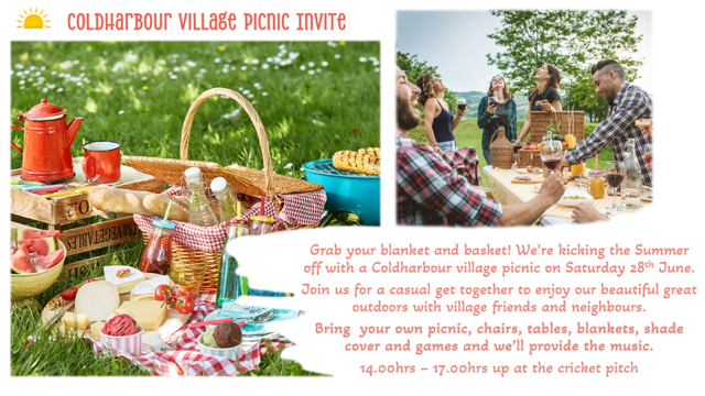 2025 Village picnic