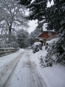 2010, More snow
