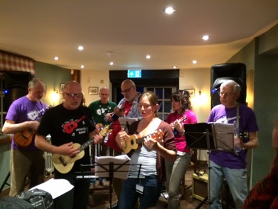Ukes in the Plough